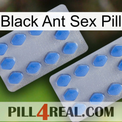 Black Ant Sex Pill 20